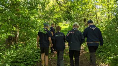 Spejdere vandrer i skov